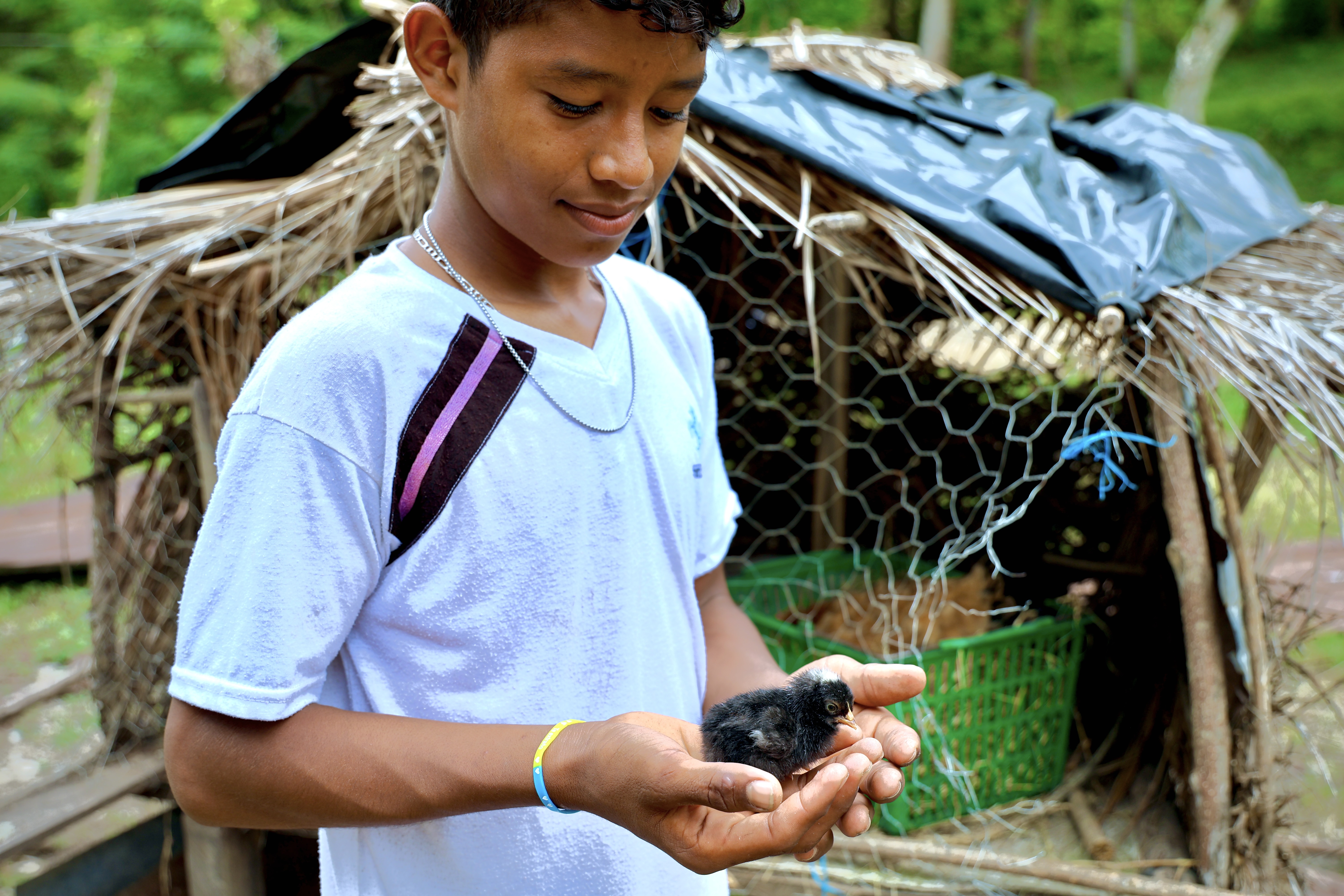 A boy holding a baby chick
