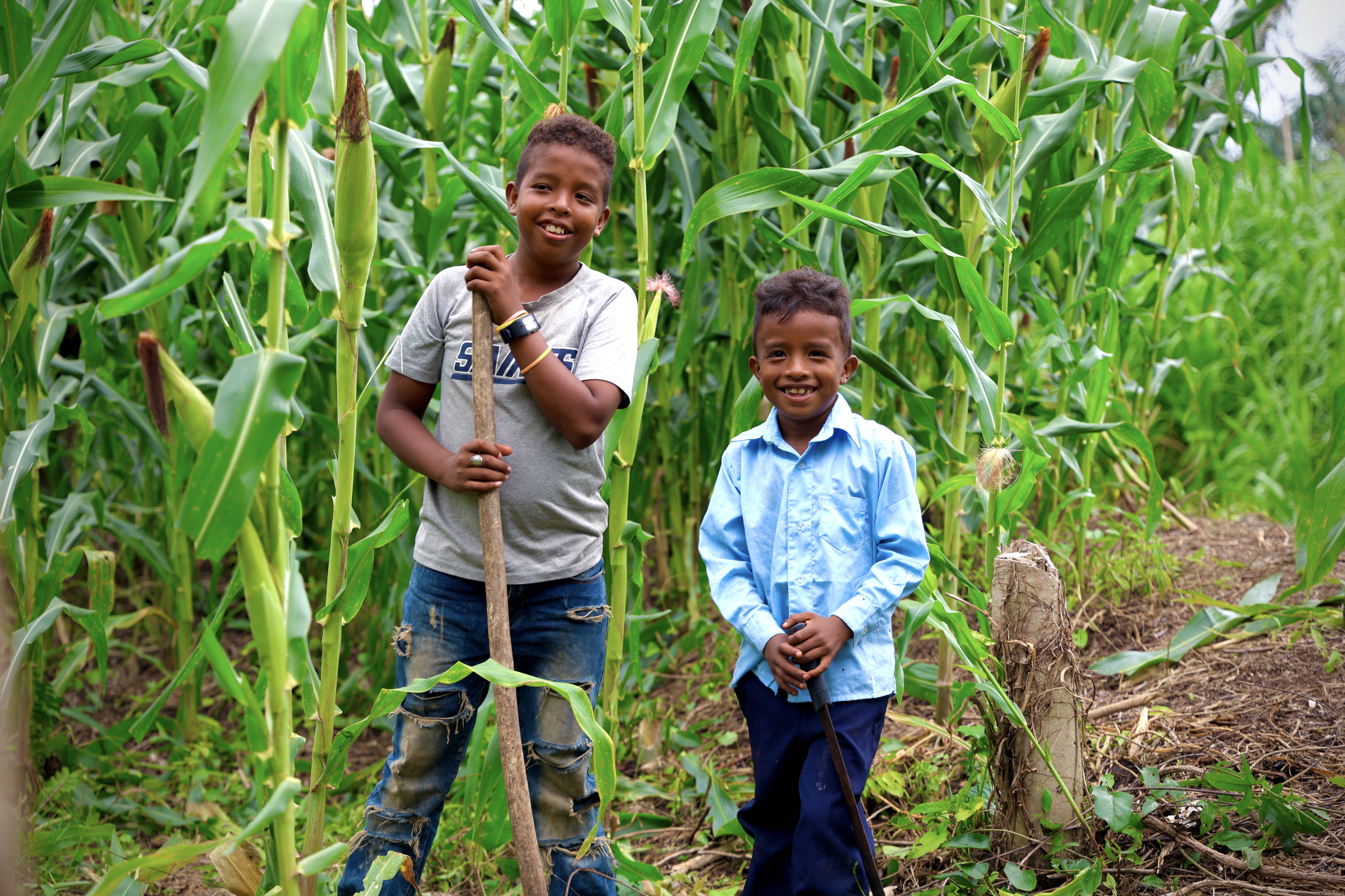 Two brothers in the cornfield