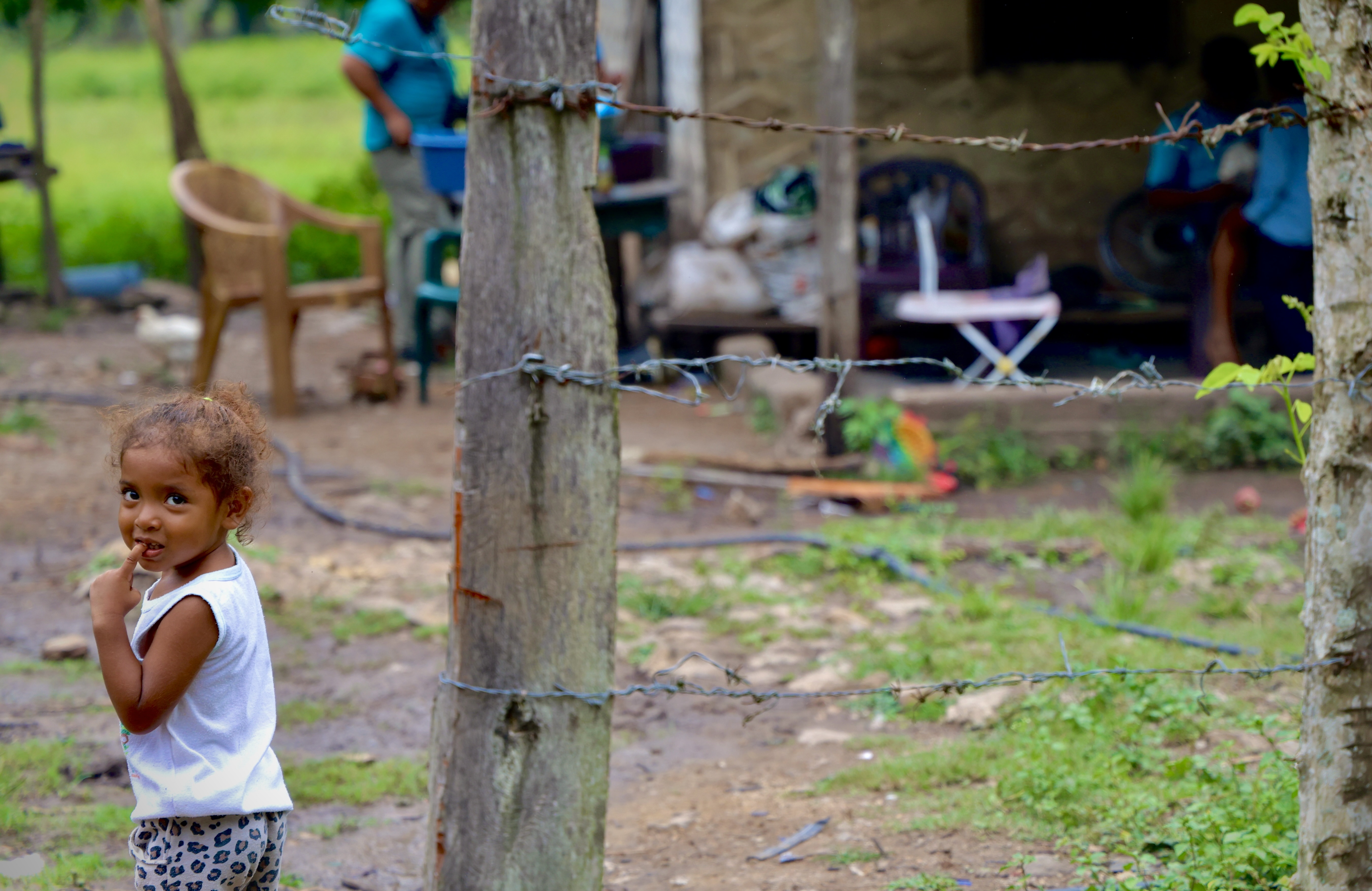 The youngest by the barbed wire fence