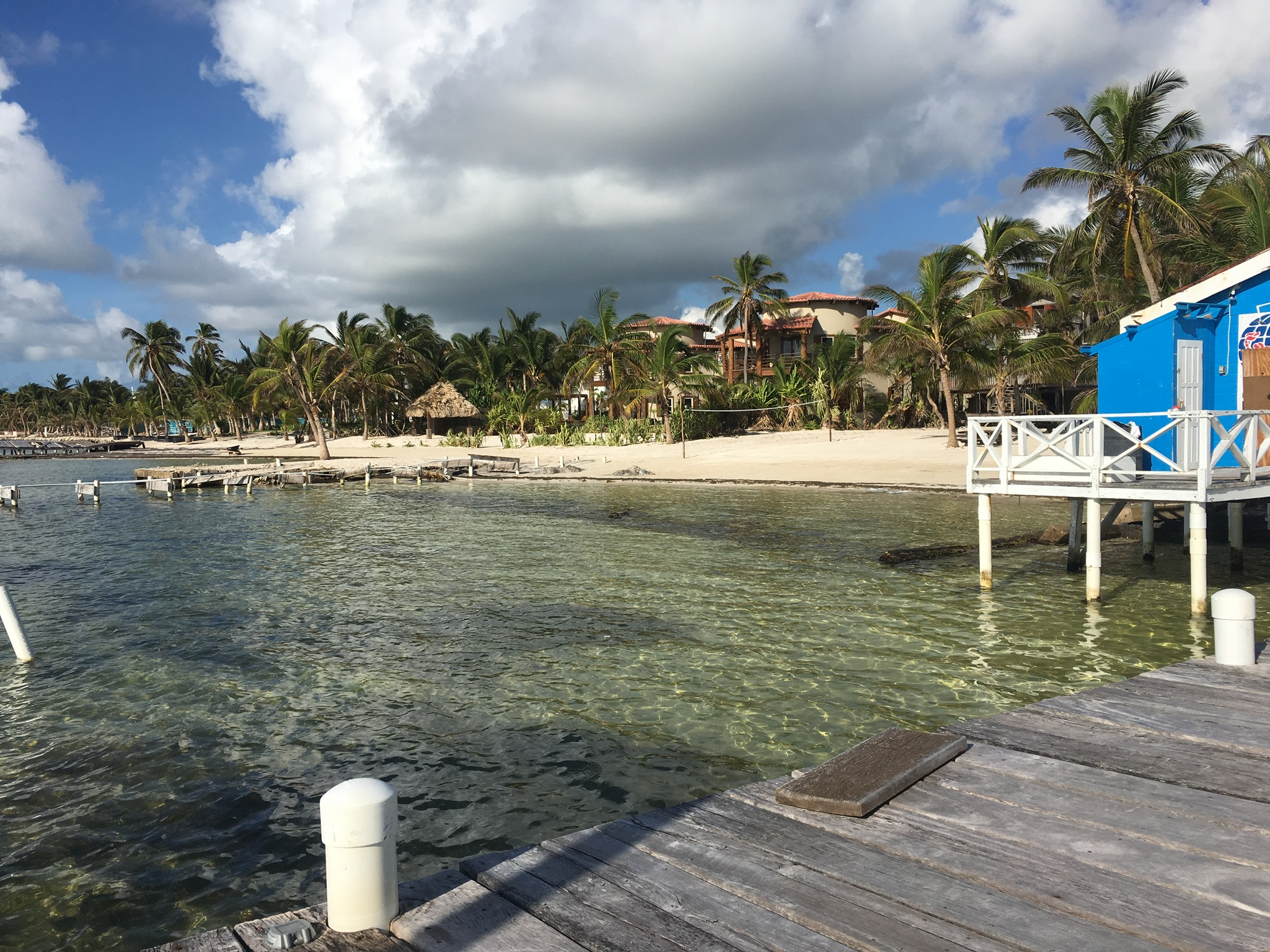 Field trip to San Pedro